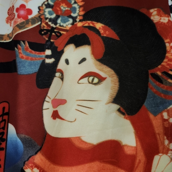 Cat-themed Harajuku top, size Medium.  Excellent used condition - Picture 9 of 11